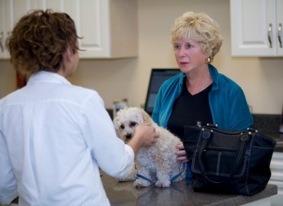 What In The World Is Going On In Veterinary Care? | AtlanticVetSeattle.com