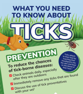 What you need to know about ticks | AtlanticVetSeattle.com