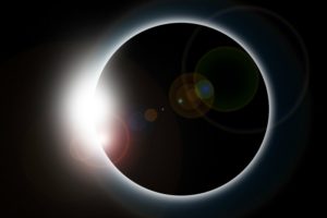 How the Solar Eclipse May Affect Your Pet | AtlanticVetSeattle.com