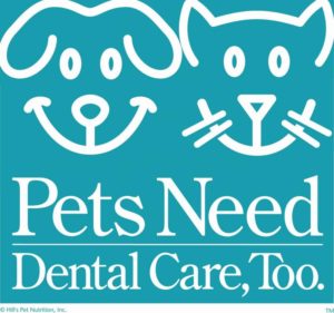 February is National Pet Dental Health Month | AtlanticVetSeattle.com