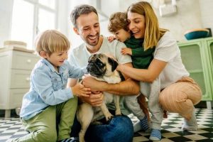 Dog Sharing: Is Co-Ownership Right for You? | atlanticvetseattle.com